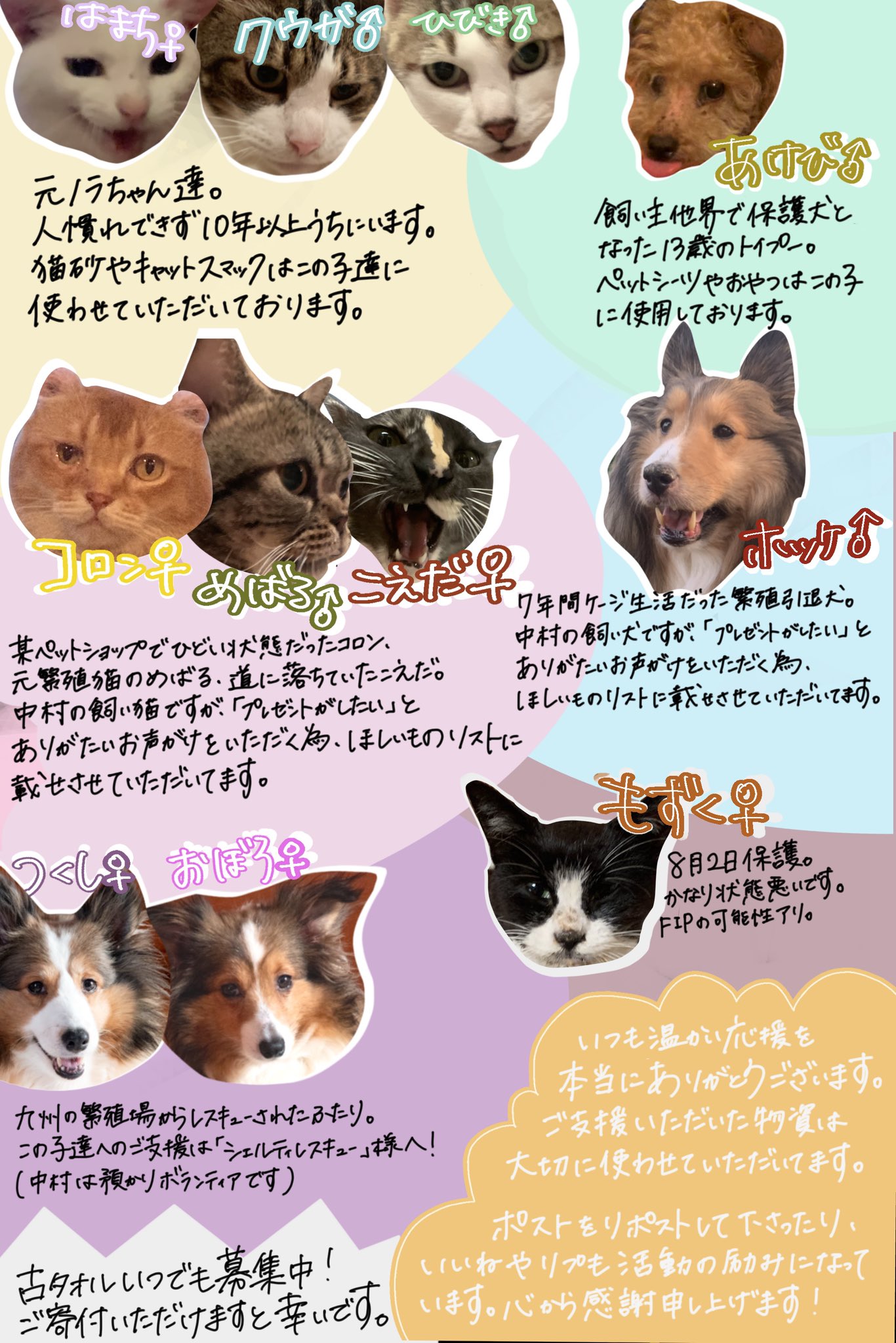 龍脈の精髄 水晶 魂を導く結晶の花 売上一部保護猫活動に使用 龍脈の精髄 水晶 魂を導く結晶の花 売上一部保護猫活動