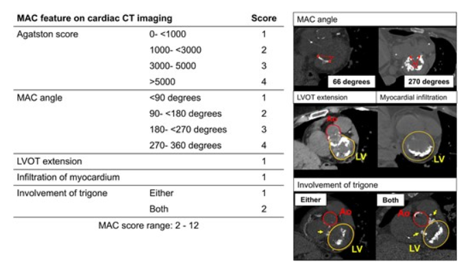 Bo Xu MD, FACC, FASE tweet media