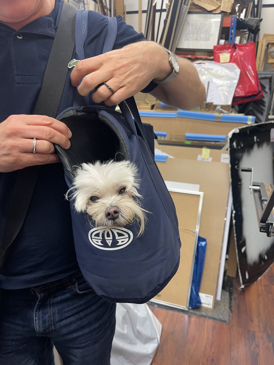 ReginaldBeer's tweet image. A visitor to the #CanaryWharf workshop of #Frontispiece earlier today. I just didn’t understand what #antiqueprints the #dog was interested in!