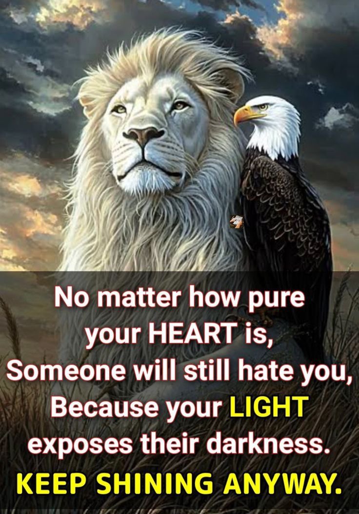Good evening friends. Stand strong in your faith in Jesus Christ our Lord.The brighter your light shines the more it will draw them to Jesus. Kindness, gratitude, compassion, mercy, forgiveness, empathy &amp; love are blessings from God. Your heart will sing &amp; your load will be light