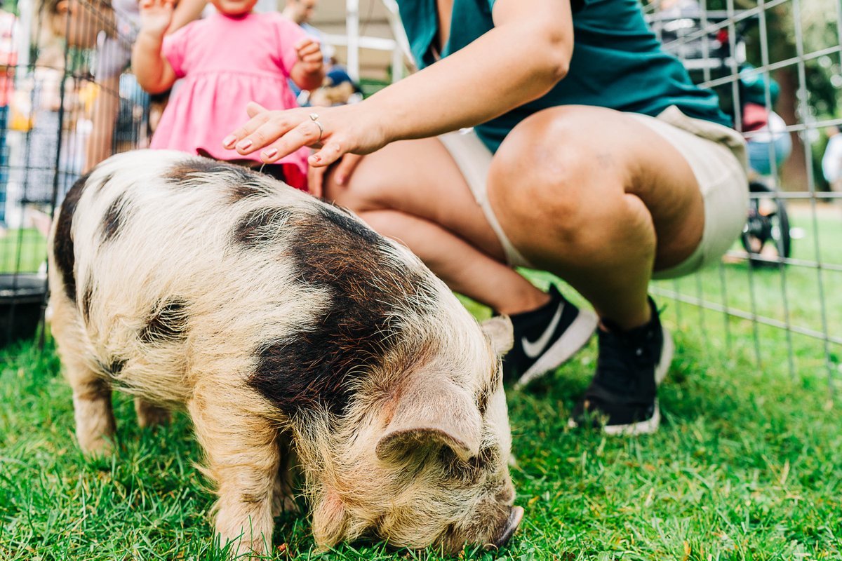 King County CHOMP! tweet media