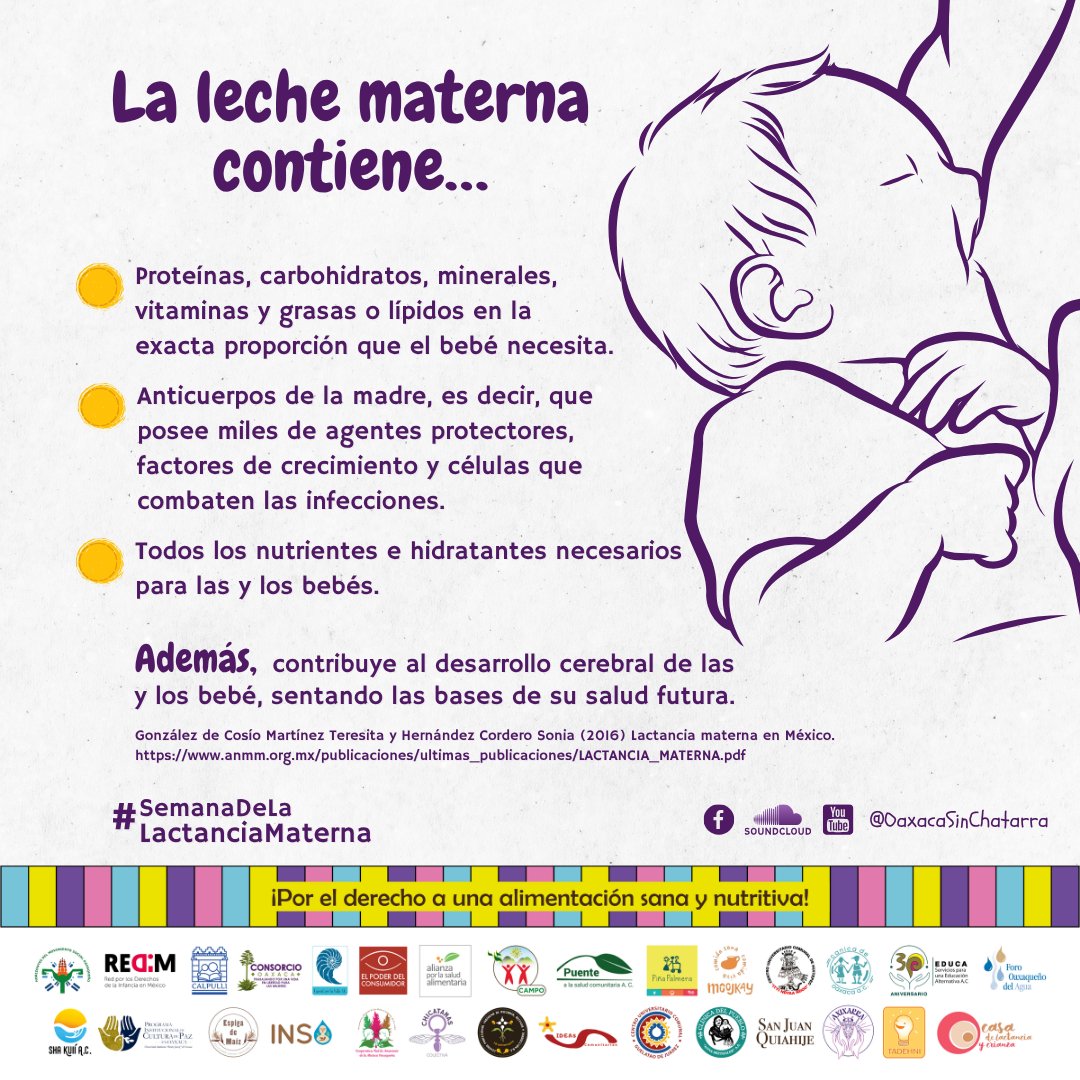 consorciooaxaca's tweet image. 🤱🏾La lactancia materna es una garantía de nutrición y de un crecimiento sano, es una práctica que ha estado presente desde los orígenes de la humanidad.

🍼❌Las fórmulas lácteas no sólo jamás podrían sustituir sus beneficios, sino que resultan perjudiciales y además…