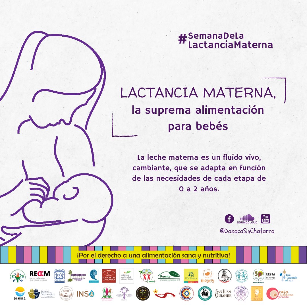 consorciooaxaca's tweet image. 🤱🏾La lactancia materna es una garantía de nutrición y de un crecimiento sano, es una práctica que ha estado presente desde los orígenes de la humanidad.

🍼❌Las fórmulas lácteas no sólo jamás podrían sustituir sus beneficios, sino que resultan perjudiciales y además…