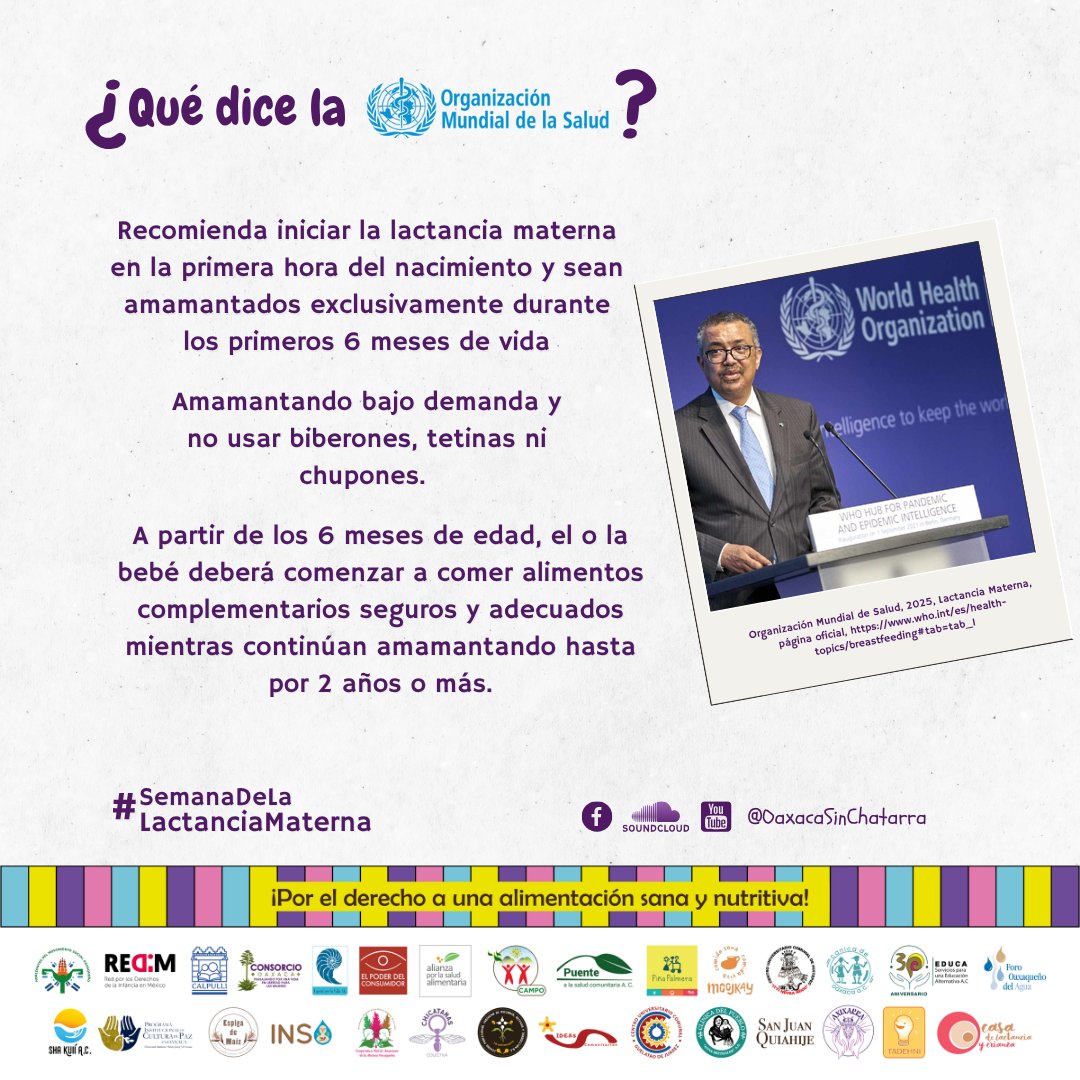 consorciooaxaca's tweet image. 🤱🏾La lactancia materna es una garantía de nutrición y de un crecimiento sano, es una práctica que ha estado presente desde los orígenes de la humanidad.

🍼❌Las fórmulas lácteas no sólo jamás podrían sustituir sus beneficios, sino que resultan perjudiciales y además…