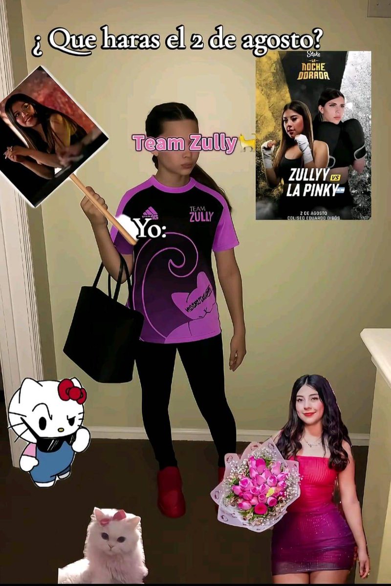 Dulce1624's tweet photo. Estamos a unas horas y minutos, vamos Zully tú puedes!!⏳🐱🩷
#lanocheesdezully #teamzully https://t.co/VZGbNJqOUC