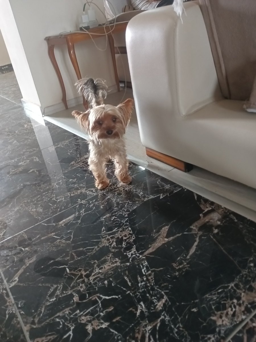 İyi insanları, aptal sandığınız yerde KAYBETTiNİz!!!