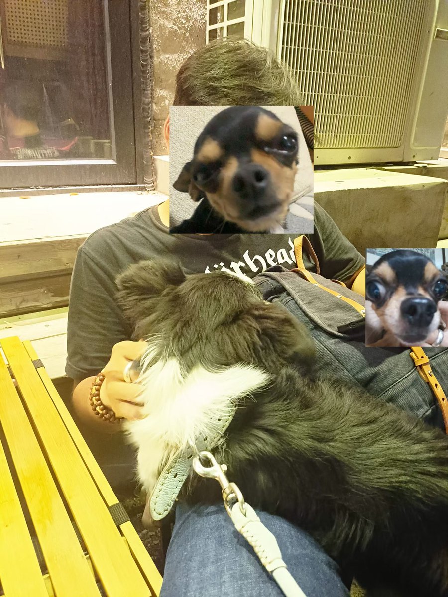 那你说咋办吧 (@gulaodewushu1) on Twitter photo 