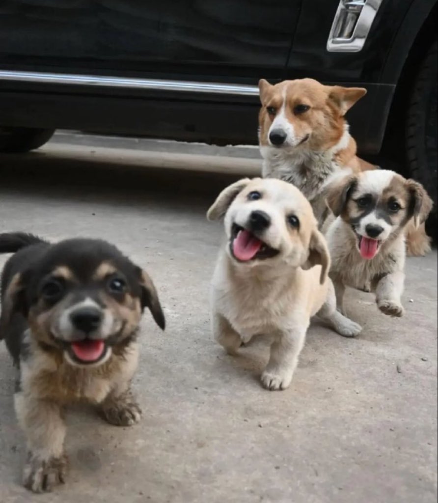 If this photo made you smile, please leave a heart ❤️