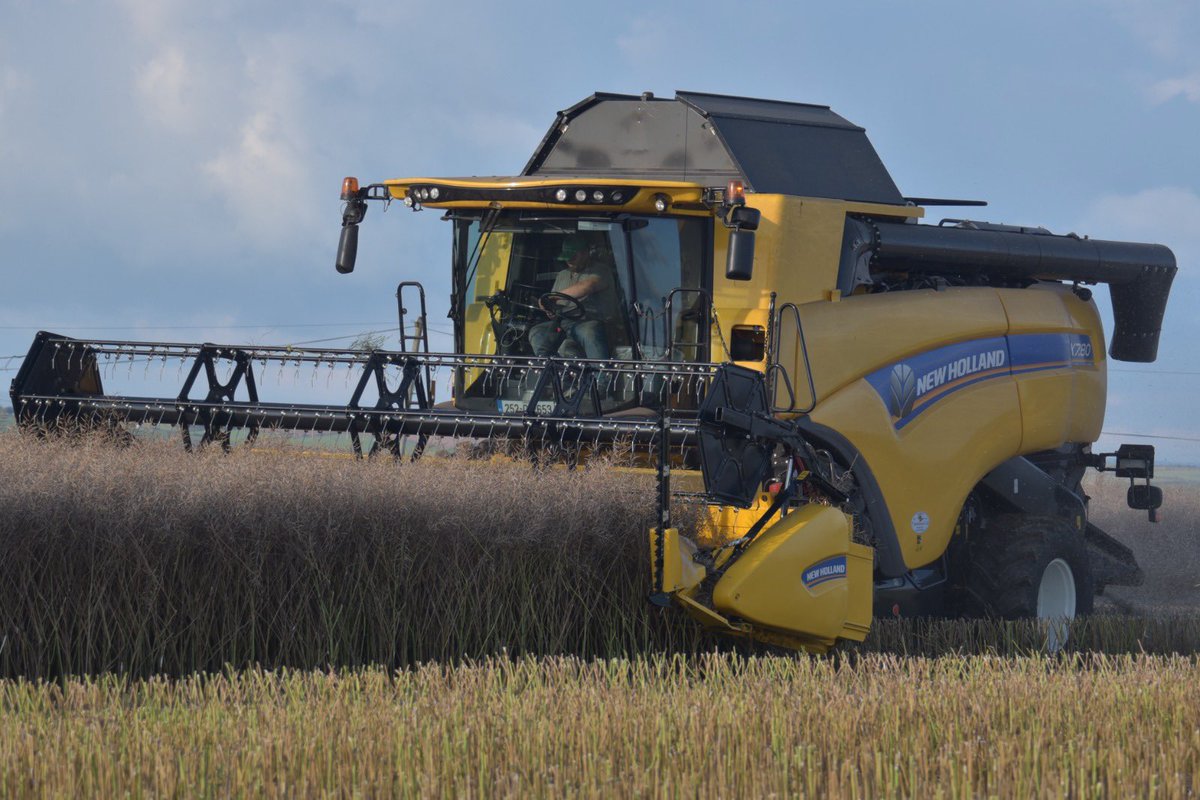 John Dunne tweet media