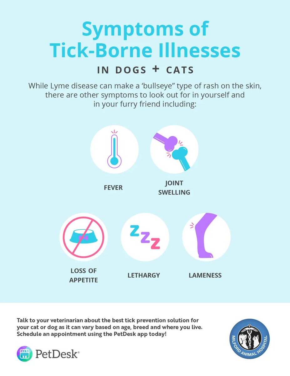 Warm weather is here so get your flea and #ticks treatment up to date.
Long grass,fields&amp;wooded areas mean ticks!
Be as careful as you can&amp;check yourself&amp;your #dogs after each walk to prevent tick-borne diseases.Check the body&amp;the face,lips,mouth&amp;eyelids #lymedisease #OTLFP