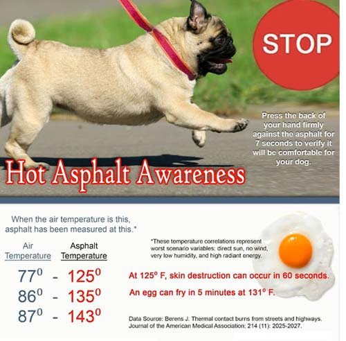 #OTLFP 
Caution!  It's summertime and that means HOT pavement! Check the heat of the pavement with the back of your hand. If it's too hot for your hand it's too hot for pet paws! 😱☀️🔥🌡