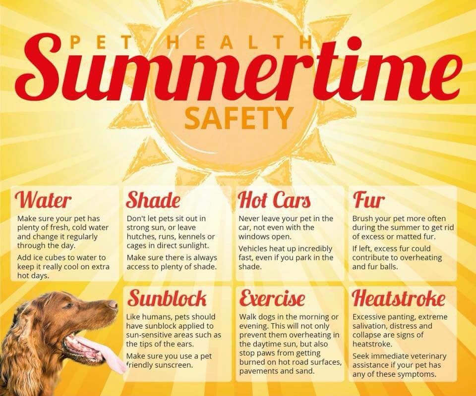 #OTLFP 
Here are some important tips for keeping your pets healthy &amp; safe this summer ☀️🌡🔥