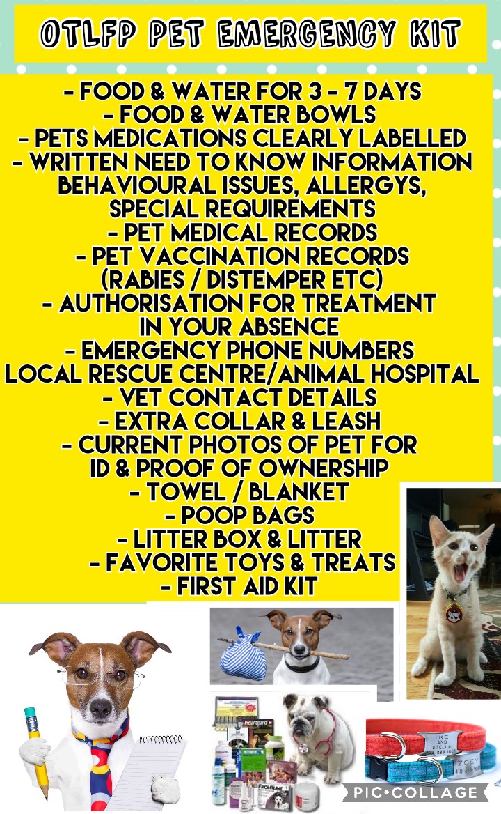 What do you need if there is an emergency evacuation? 

We have put together a checklist for you to help everyone stay safe.

Pals, are you all ready if there is an emergency?? Please stay safe everyone. Be prepared &amp; be safe. Get a grab bag ready before you need it!🎒#OTLFP
