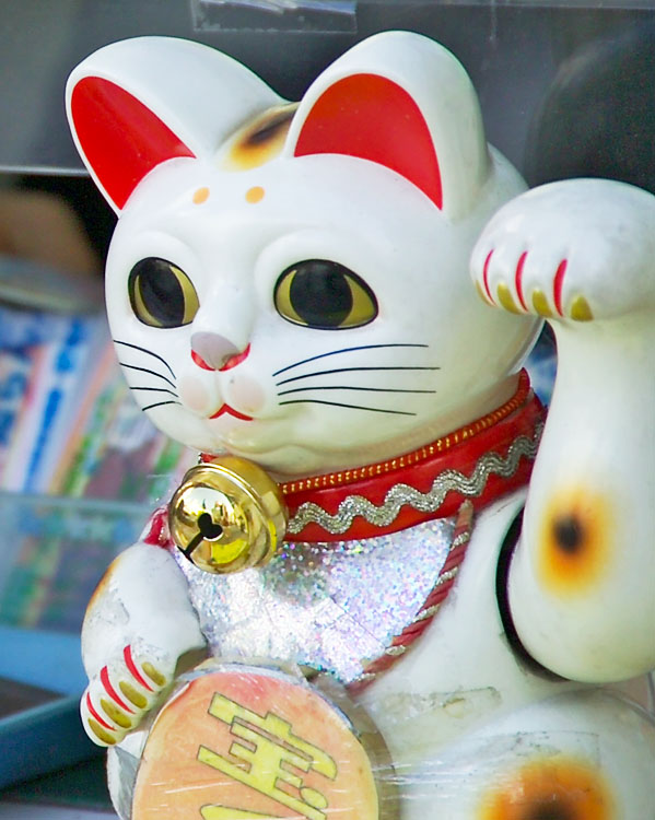 LunaGitana0333's tweet photo. La Leyenda del Maneki - Neko en Japón:  
Su nombre significa " el gato que invita a pasar"  

Su historia se remonta a hace muchos años atrás, donde un samurai se recostó bajo un árbol a descansar y su mirada se topó con gato que con su pata parecía invitarlo a pasar a un templo a pocos metros.  

El samurai se dirigió al templo siguiendo la voluntad del gato, y justo en ese mismo momento cayó un rayo que destruyó el árbol. 

El gato representa un augurio de buena suerte en Japón, los felinos son hasta el día de hoy muy venerados. 
 Así nació la leyenda de Maneki-Neko. 

Nunca se supo si aquel gato era blanco o negro, pero sí que este amuleto en su formato original es de color blanco. 

Todos portan un collar rojo, y no es por mera casualidad o por costumbre. 
 Los libros más antiguos de cultura japonesa describen a un gato blanco con correa roja que lo lleva por el mundo como si estuviera encantado. 

Esa sería la raíz y el origen de los collares rojos que todavía podemos ver en ellos. 
 La mano con la que saluda tiene importancia, si lo hace con la derecha, traería prosperidad y dinero y con la izquierda, atraería visitas. 

Ya tenés uno en tu casa o tu negocio? 
 Recuerda que el mismo debe ser colocado mirando hacia la puerta, es hacia el exterior que llama la fortuna.

 Se dice que el Maneki Neko que levanta su pata derecha  trae abundancia, mientras que el que levanta la izquierda atrae personas y felicidad.