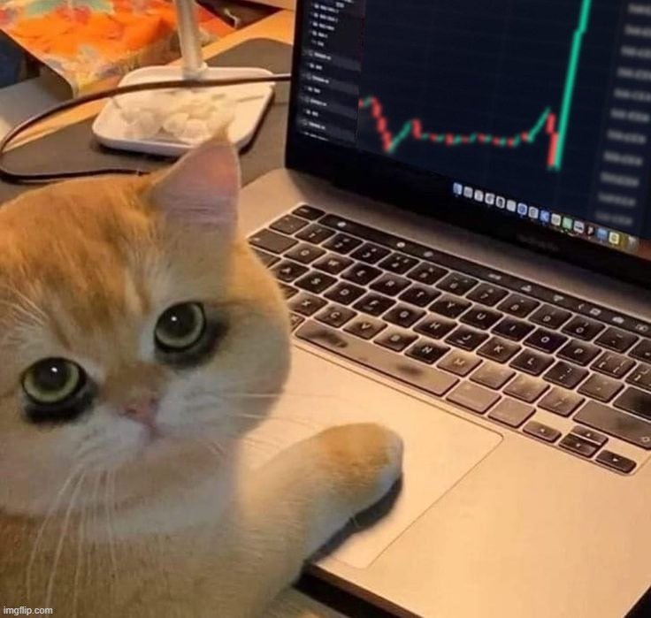 I CAN'T HANDLE THIS MARKET ANYMORE!
FINALLY EXITED... 5 SECONDS LATER: TO THE MOON!

Why always me? 😭