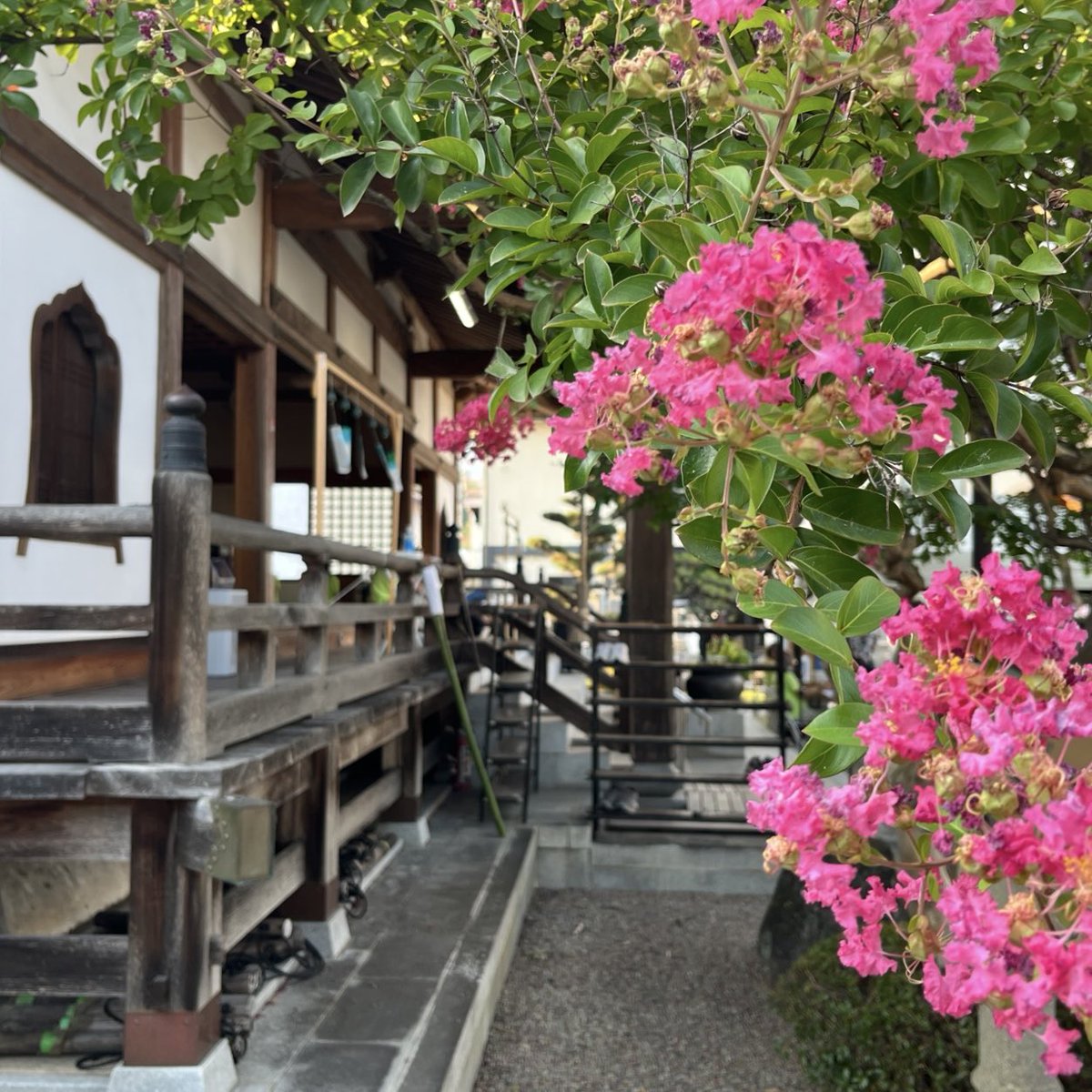 ◆聖徳寺　-岡山県津山市-
2025年7月 参拝

真言宗の寺院でご本尊は聖徳太子🙏🏻
本堂天井には立派な来迎図が描かれており襖絵には同じ方が飛天を描かれてます✨
この日は夕方から開催の和霊祭でお伺いし、翌日仕事の為護摩焚きの祭典までに帰りましたが護摩木をお納めしました🔥

#聖徳寺 #岡山の御朱印