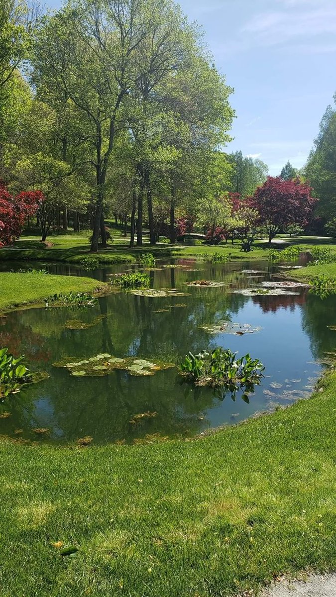 greenvibe's tweet image. nature