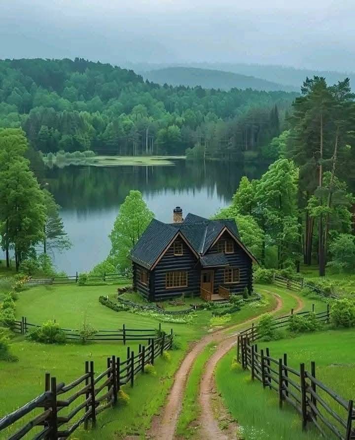 greenvibe's tweet image. nature