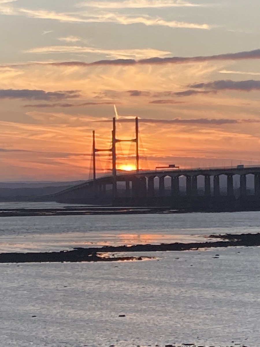 Martin Evans tweet media