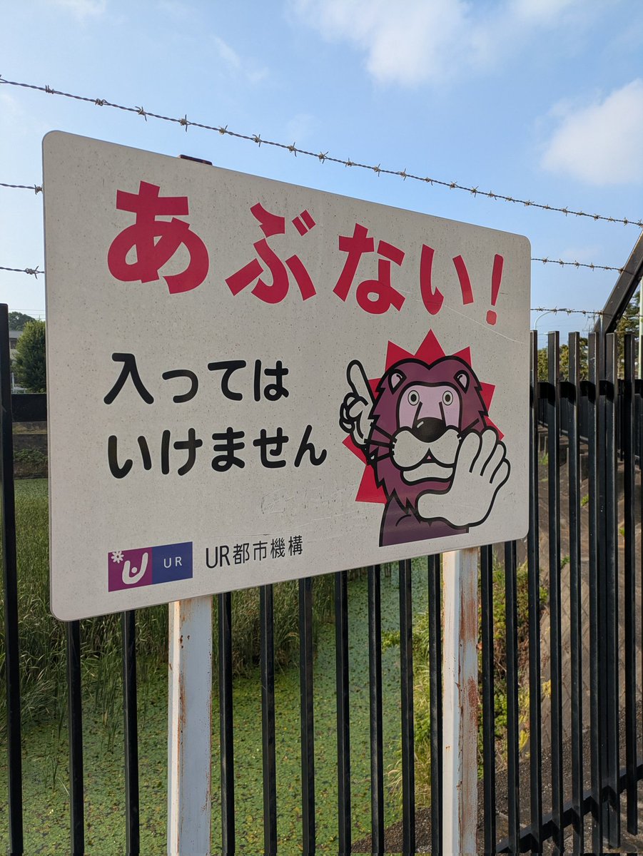 どこかで見たことあるライオンおる