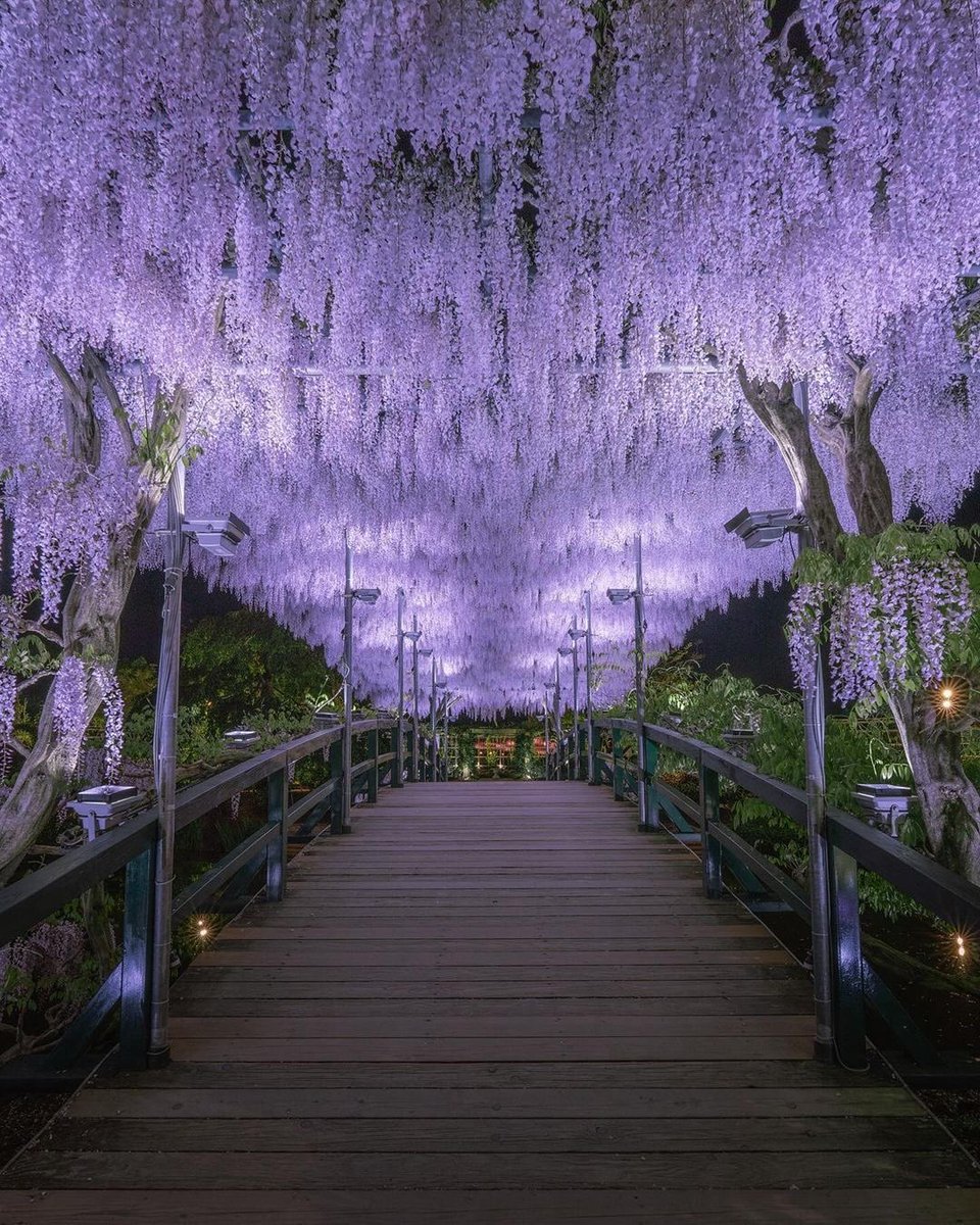 japanvistas's tweet image. Ashikaga, Japan.
