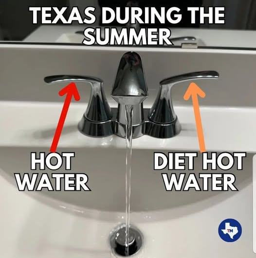Facts About Texas (@factsabouttexas) on Twitter photo 