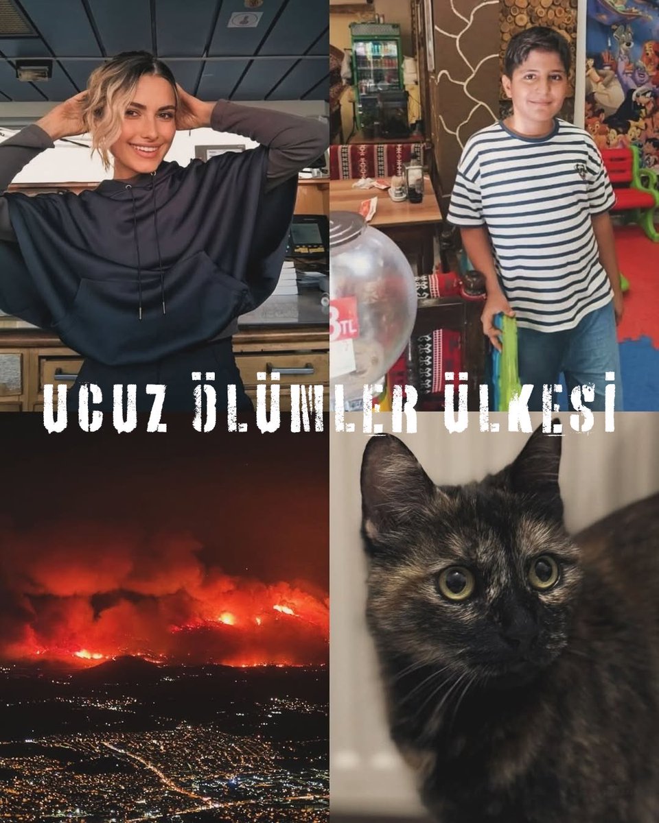 UCUZ ÖLÜMLER ÜLKESİ