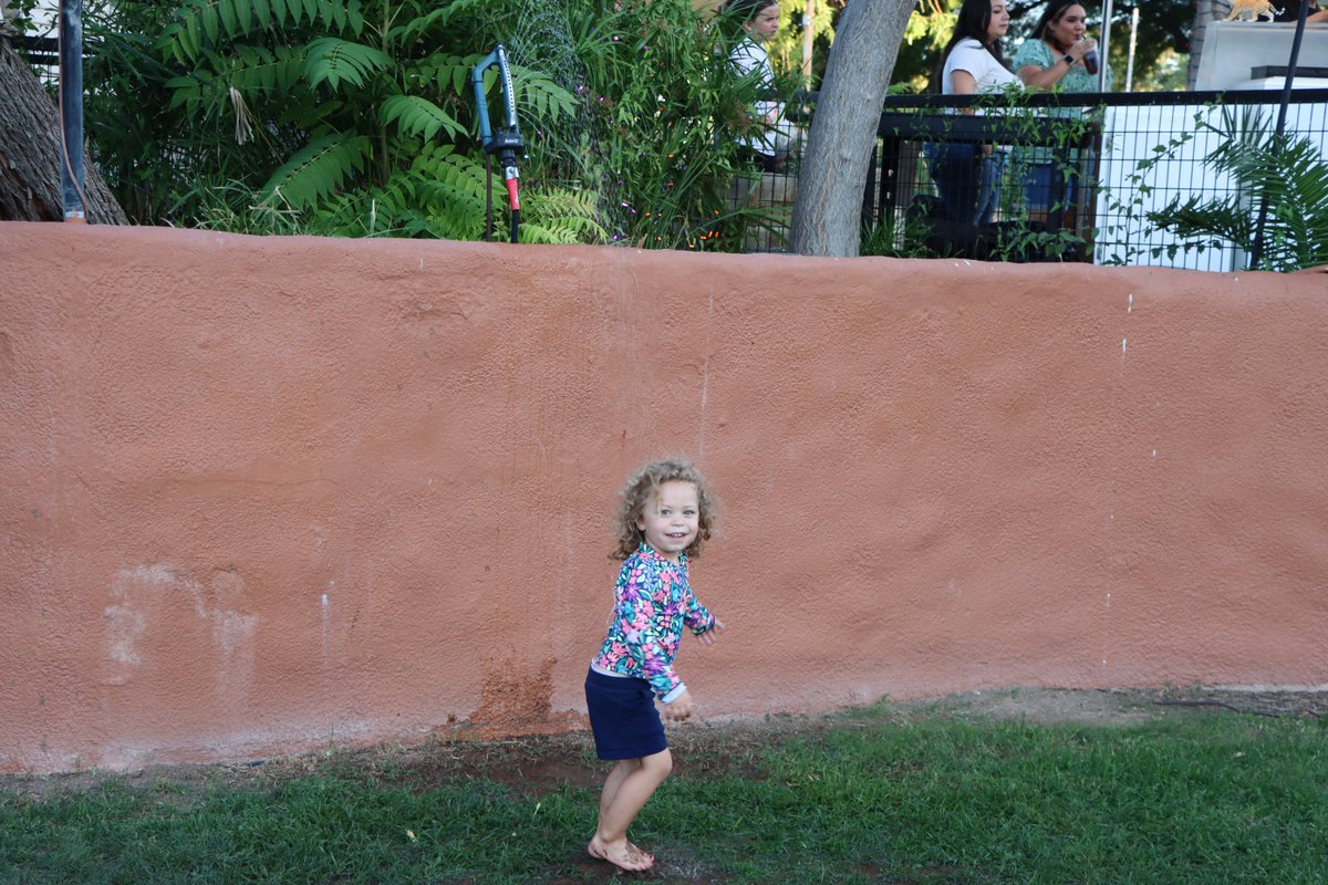 Reid Park Zoo (@reidparkzoo) on Twitter photo Let's roar for the final weekend of Summer Safari Nights, presented by <a href="/tmcaznews/">TMC Health</a>. Lions Tony & Nayo are the stars of the evening as we celebrate World Lion Day. Cool off with lawn sprinklers, catch the Giraffe Encounter, or visit with an Ambassador Animal in the CLC. Let's roar for the final weekend of Summer Safari Nights, presented by <a href="/tmcaznews/">TMC Health</a>. Lions Tony & Nayo are the stars of the evening as we celebrate World Lion Day. Cool off with lawn sprinklers, catch the Giraffe Encounter, or visit with an Ambassador Animal in the CLC.