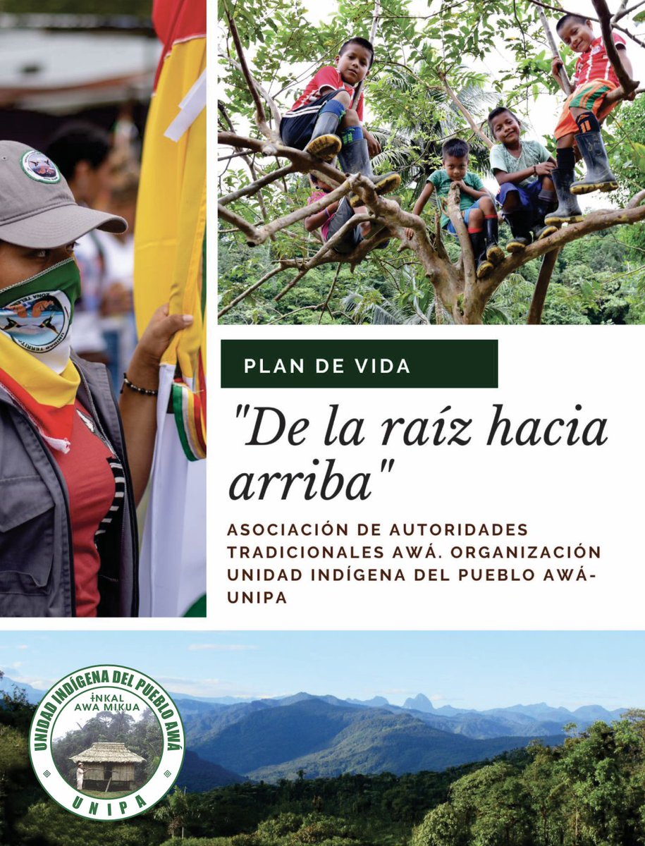 ¿Ya conoces nuestro Plan de Vida?
Este documento refleja nuestra visión, luchas y apuestas para el futuro del pueblo Awá.
📷 Descárgalo en nuestra página web y acompáñanos en este camino de pervivencia.
unipa-colombia.org/mediateca/
