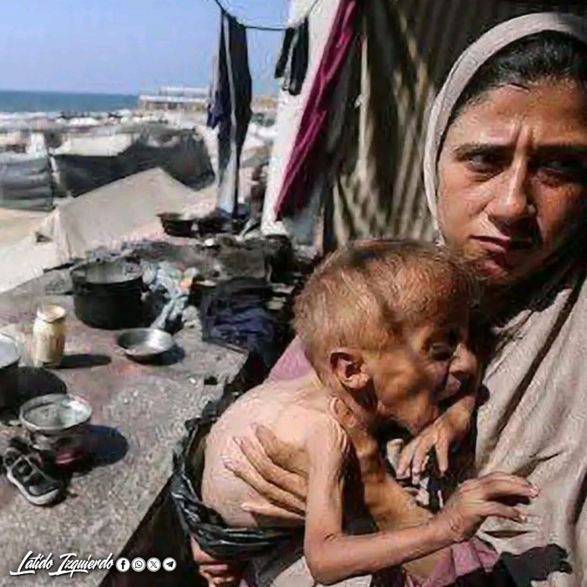 "Mi ♥️ X Palestina" 🇵🇸

Recep Tayyip Erdogan, presidente de Turquía:
✍️ "Lo que está ocurriendo en Gaza es un genocidio llevado a cabo mediante el hambre y la sed bajo la mirada del mundo."

#FreePalestine 🇵🇸🕊️
#IsraelEstadoGenocida 🇮🇱😡