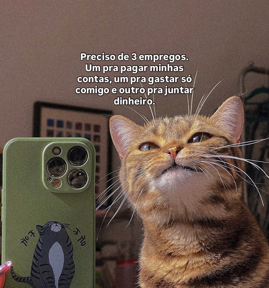 Memes • Frases • Humor tweet media