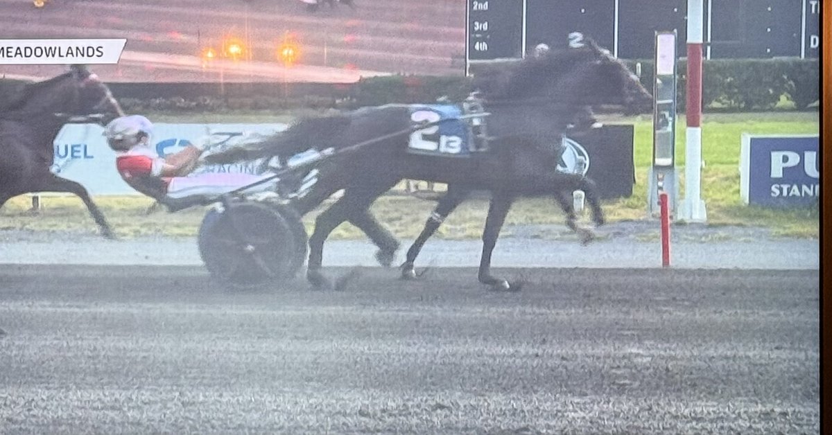 Srf Stable (@srfstable) on Twitter photo New Jersey Sire Stakes Finalen till vår delägde Apex (Walner-Mission Brief) <a href="/MarcusMMelander/">Marcus M Melander</a>
srfstable.com/apex-us New Jersey Sire Stakes Finalen till vår delägde Apex (Walner-Mission Brief) <a href="/MarcusMMelander/">Marcus M Melander</a>
srfstable.com/apex-us