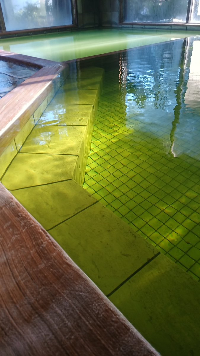 issuisou's tweet photo. おはようございます。咲花温泉は☀。湯色は🟩。
📝：超レアな里芋の葉にお刺身のパターン。五泉のザ・ブランド野菜　里芋　帛乙女（きぬおとめ）。五泉市も雨不足で作物の出来が心配です😑
広大な畑でプロが作る野菜は家庭菜園とは全然違う世界です🚜
#企業公式が毎朝地元の天気を言い合う https://t.co/GCKCvSc7ot