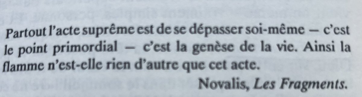 LivresPascalG's tweet image. #Novalis #citation #Klimov