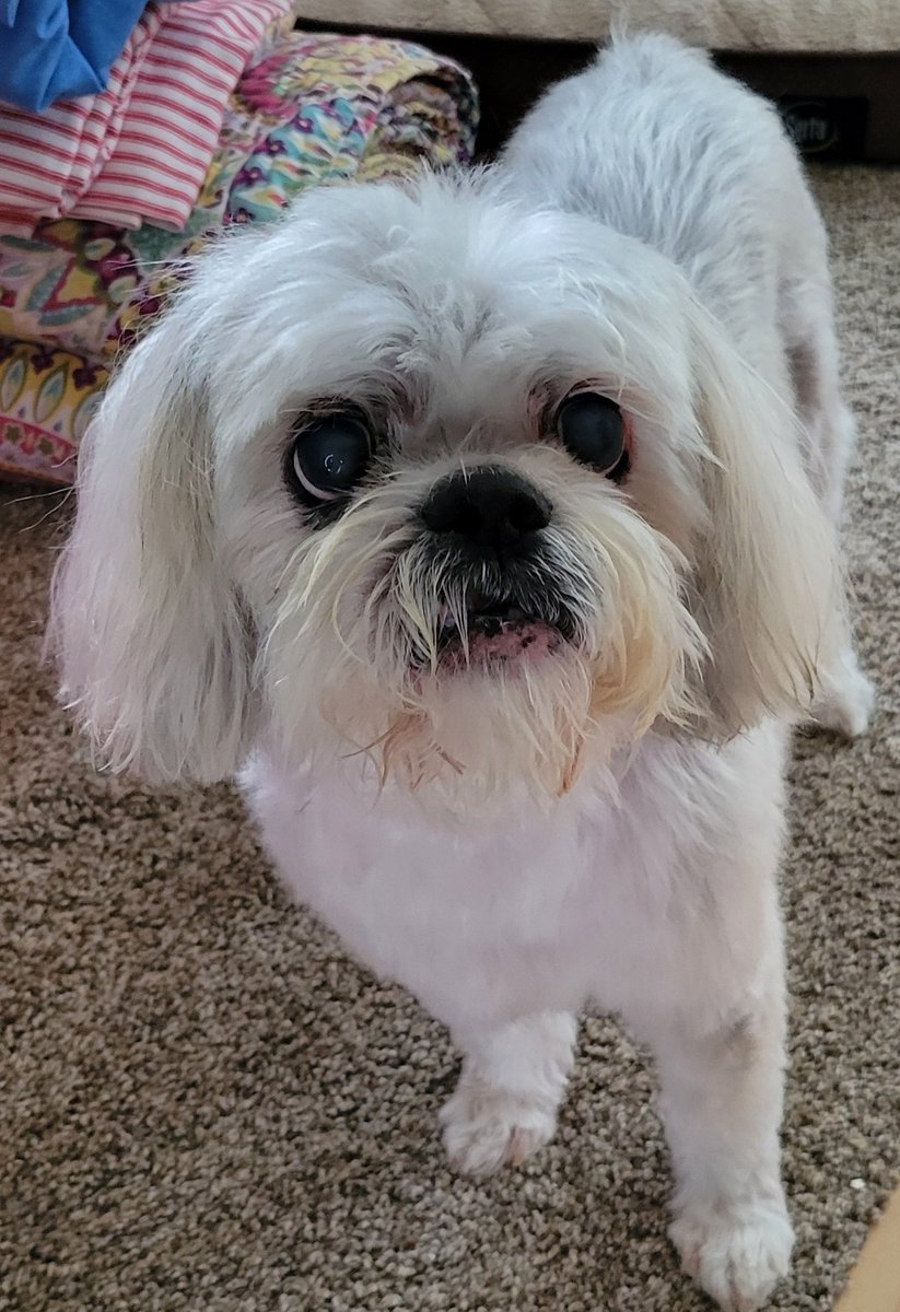 Today would qualify as one of the dog days of summer. Last night, my wife informed me she was going kayaking with her sisters today. This morning, Mrs. Fats changed her mind and decided she would stay home and relax. Her sisters went without her and dropped off a present on their