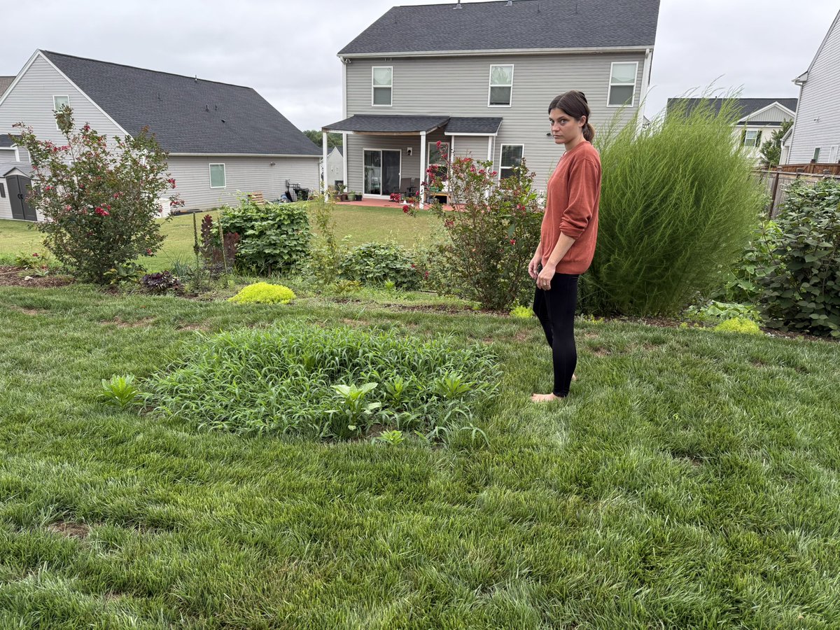 The moment when it was decided to discontinue the check plots.