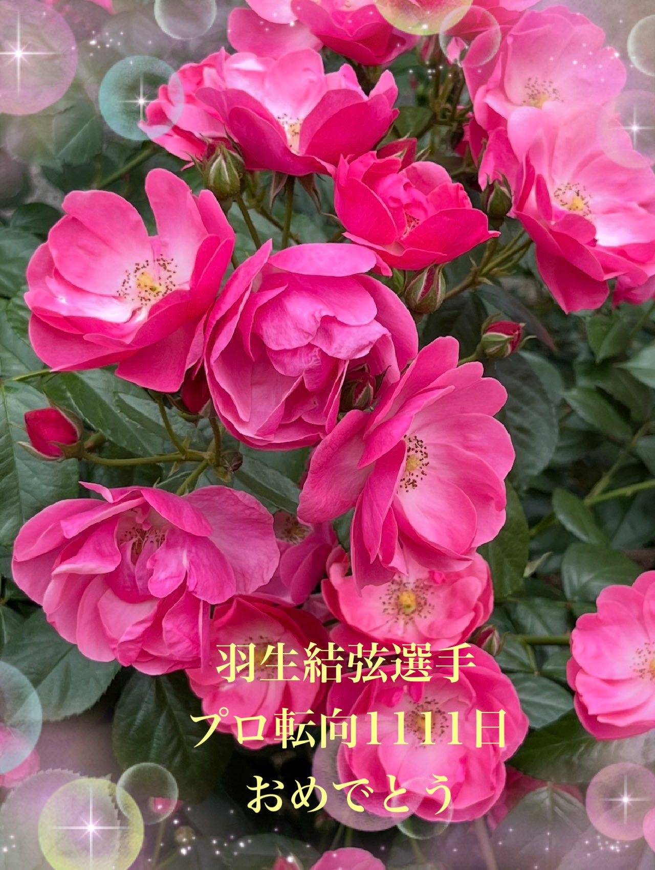 あまのかぐやま on X: 