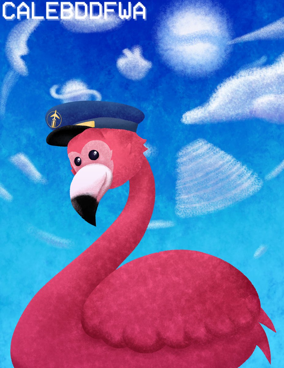 Calebddfwa tweet media