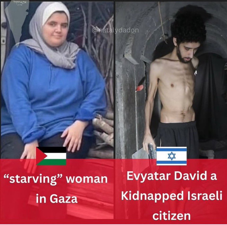 Who is really starving in Gaza?