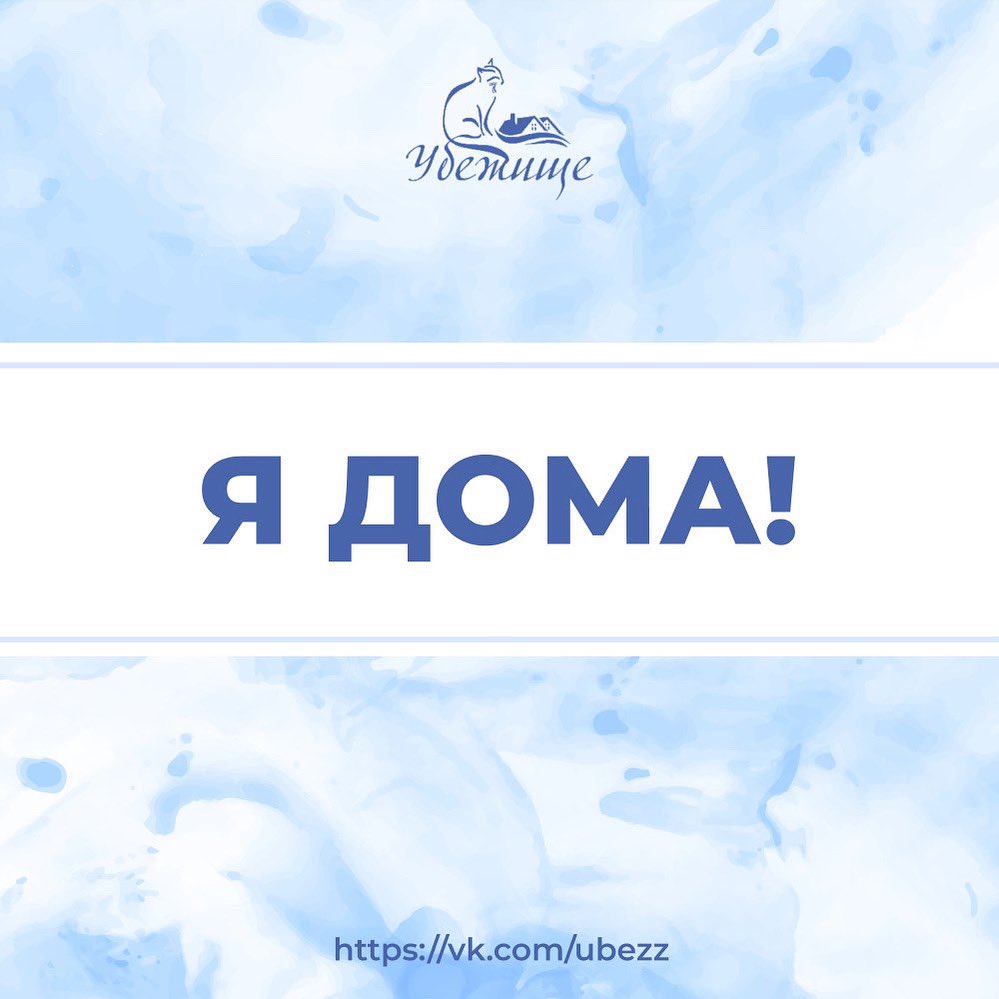 ubezh777's tweet image. С большой радостью хотим сообщить, что:
🐾котенок Уголек
🐾кот Сержик
🐾кот Зейн
🐾котенок Сема
Нашли дом и заботливых хозяев!
На их место поступили новые животные, которым требуется помощь и лечение. Поэтому, забирая одно животное из приюта, вы спасаете сразу двух, того, кого…