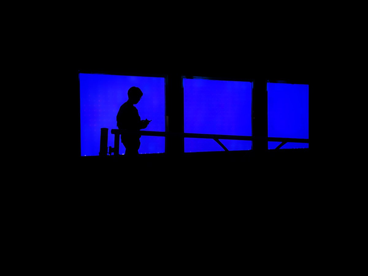 Brendan Ó Sé tweet media