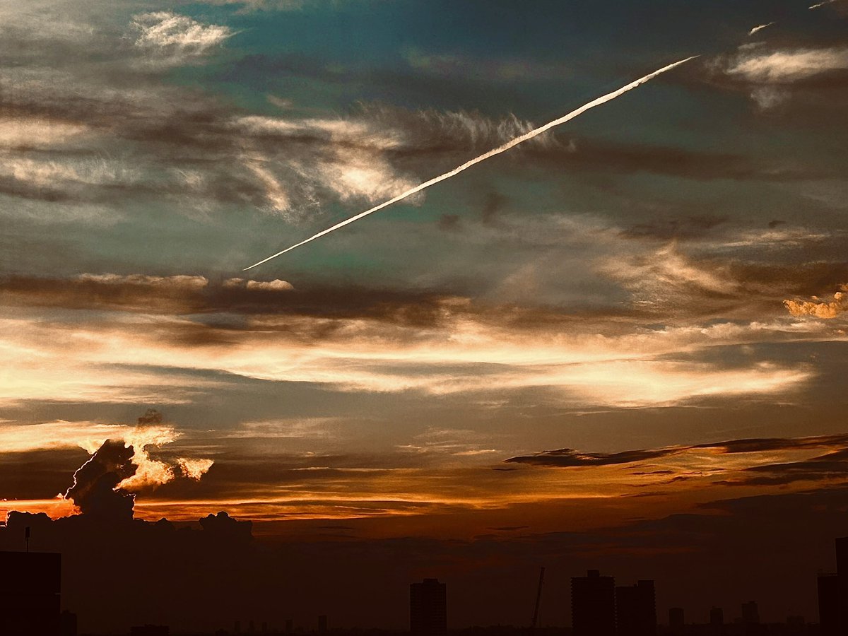 ☆どうみょう☆ tweet media