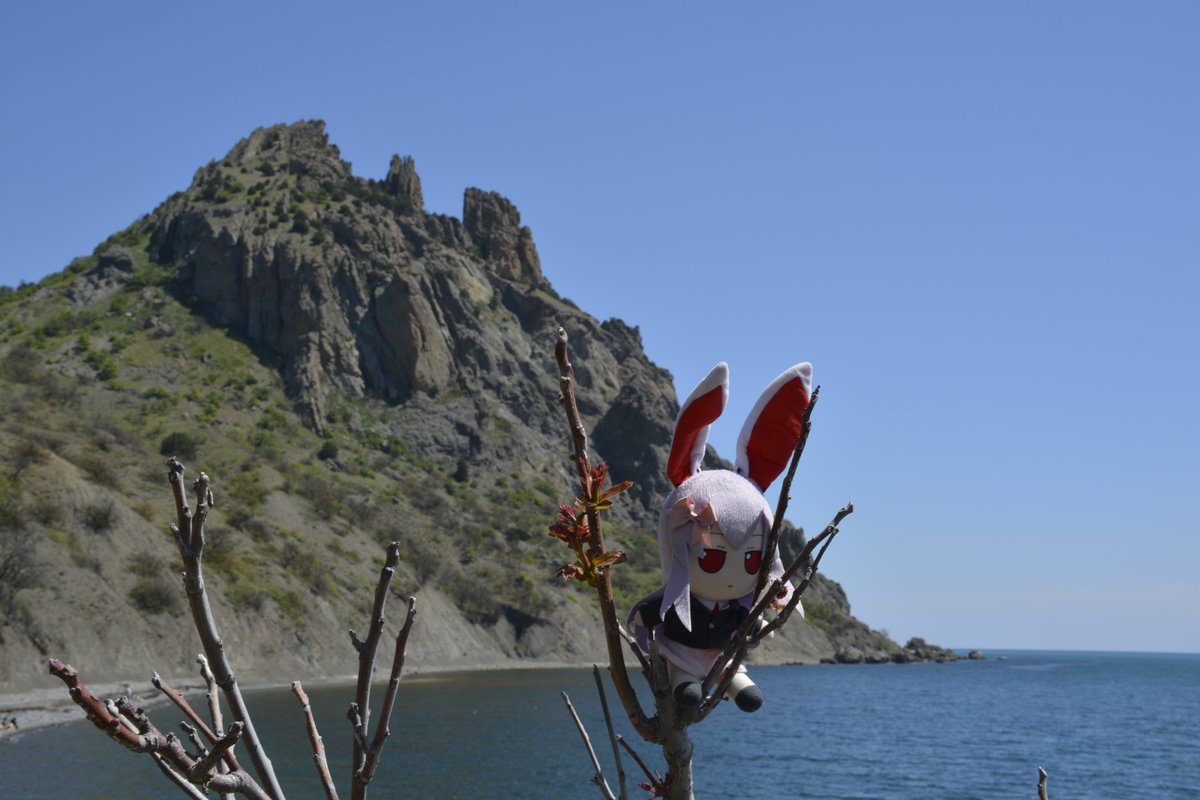 IvanFumograph tweet media