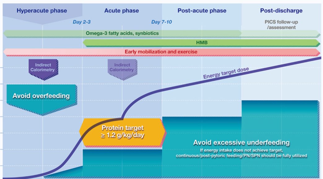 We published a review article about acute phase nutrition therapy: Clinical Nutrition

吉田先生がClinical Nutritionに急性期の栄養療法に関する総説をPublishしてくれました。おめでとうございます㊗️

sciencedirect.com/science/articl…