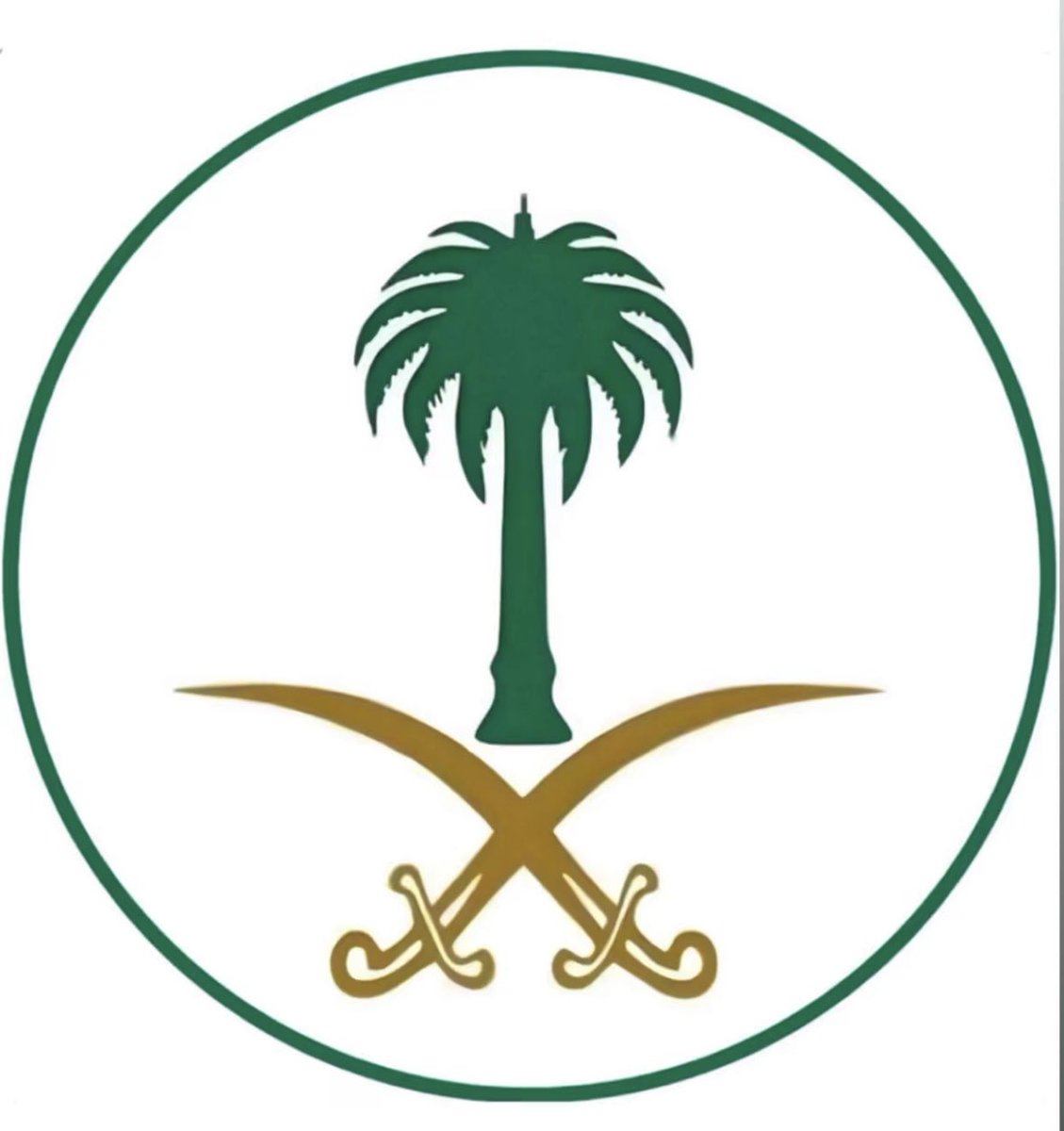 الله يديم عزك يا وطن