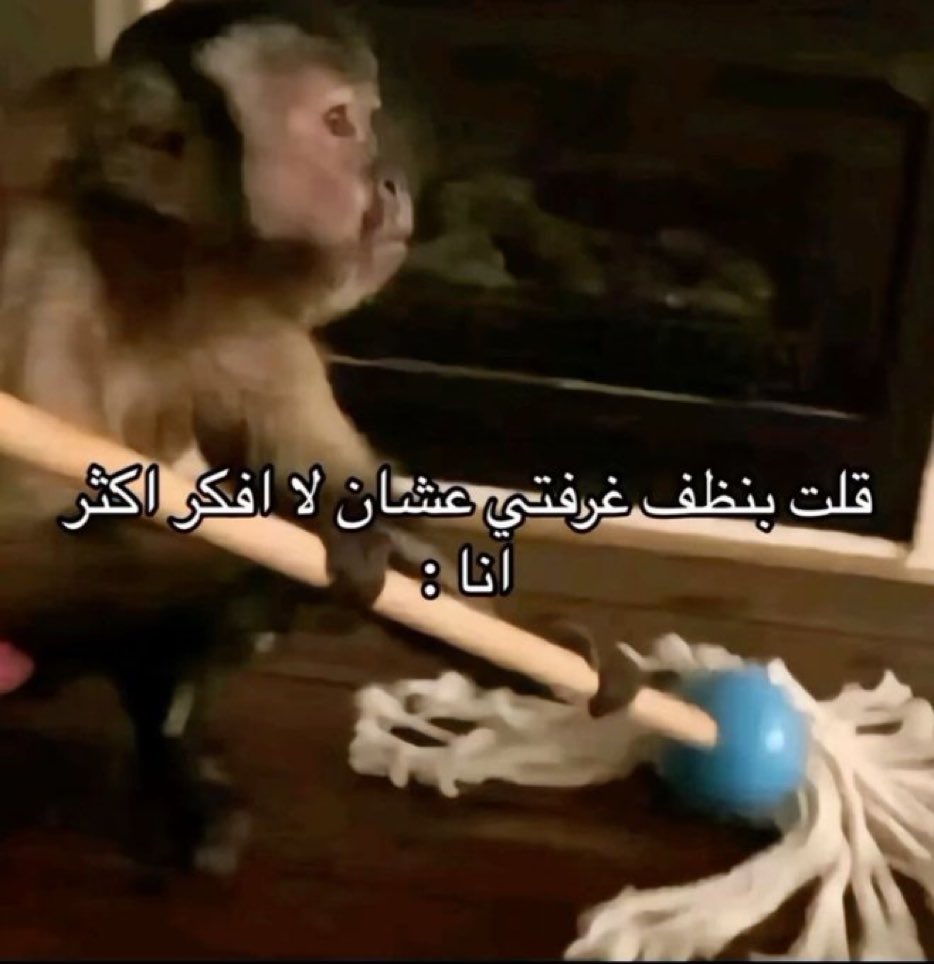 كل يوم صورة معبرة (@memesoficiial) on Twitter photo 