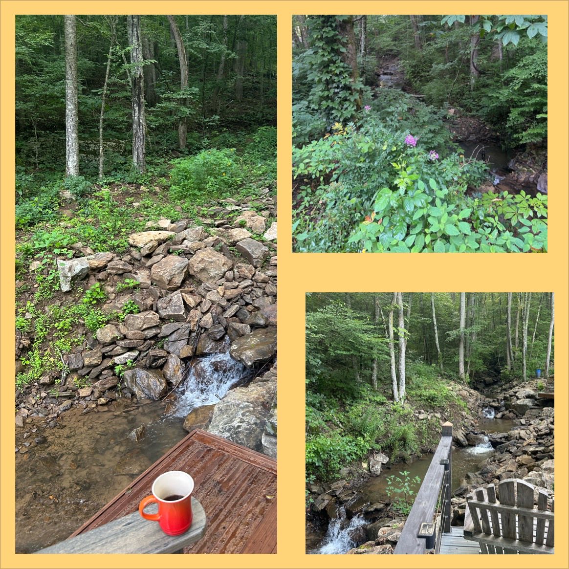 Reta Coffman (@retacof) on Twitter photo Good morning from NC. A rainy weekend but who cares! Good morning from NC. A rainy weekend but who cares!
