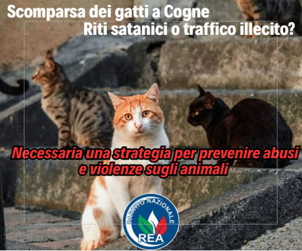 #2agosto Chi maltratta gli animali rappresenta un potenziale pericolo per la società stessa. E' fondamentale individuare una strategia per prevenire e contenere queste violenze.
#dirittideglianimali #tuteladeglianimali #animali #maltrattamentoanimali
👇👇
facebook.com/photo/?fbid=10…