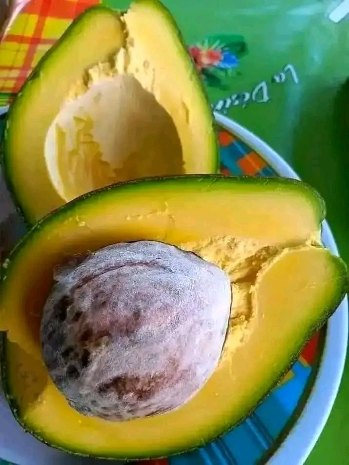 ❤️😍

Sa ayisyen rele bè a.