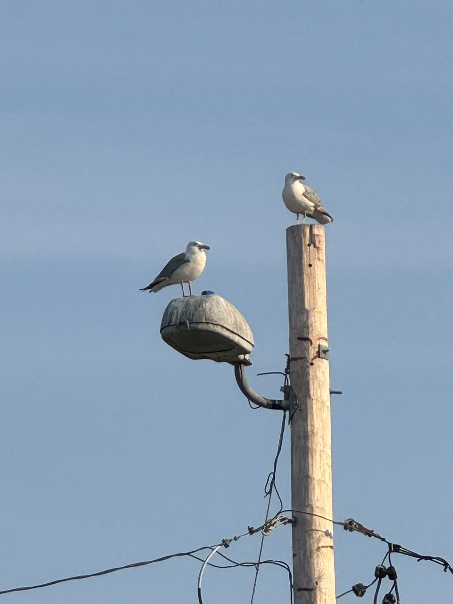 Air Traffic Control in full effect tonight